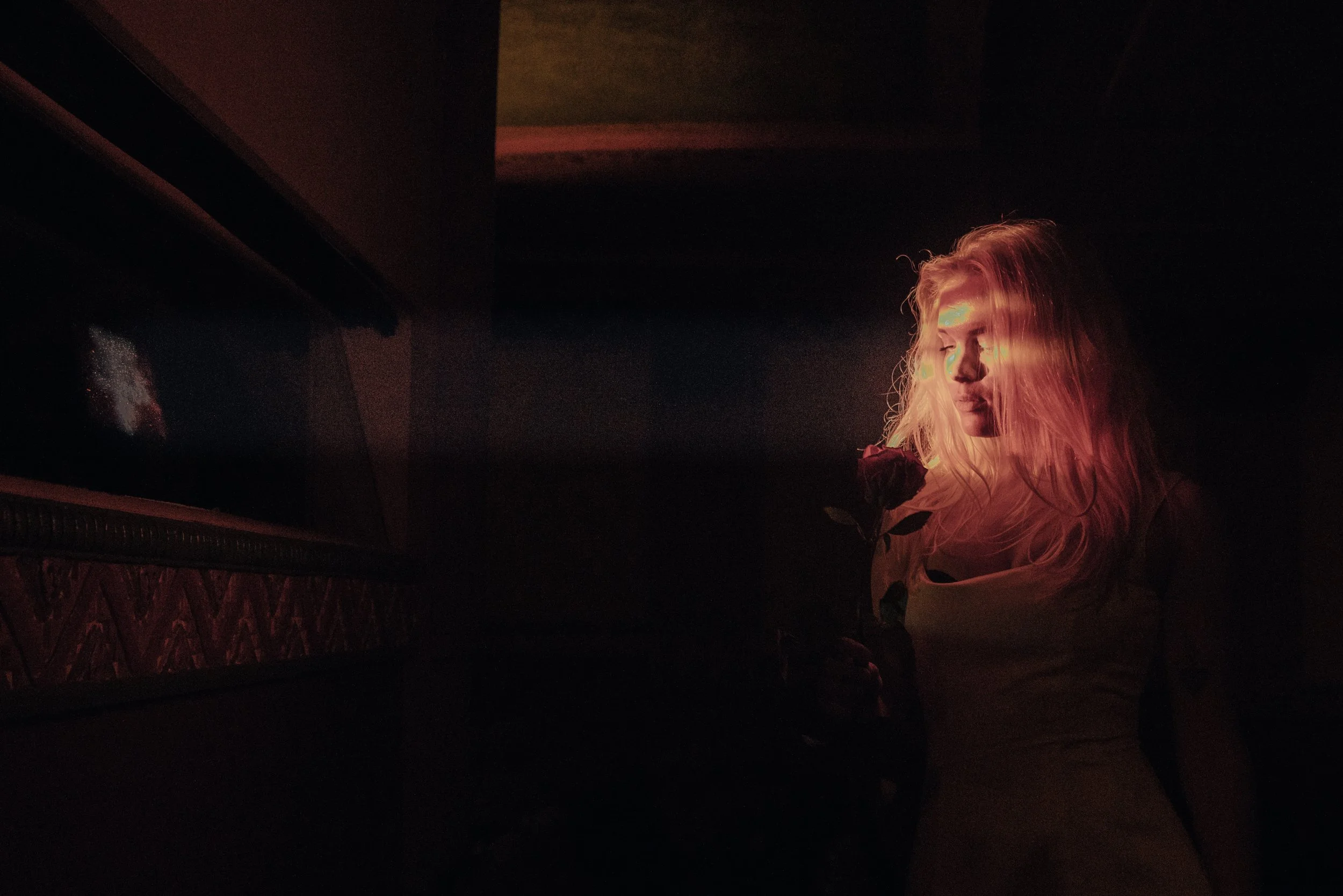 _IVY6498.JPG