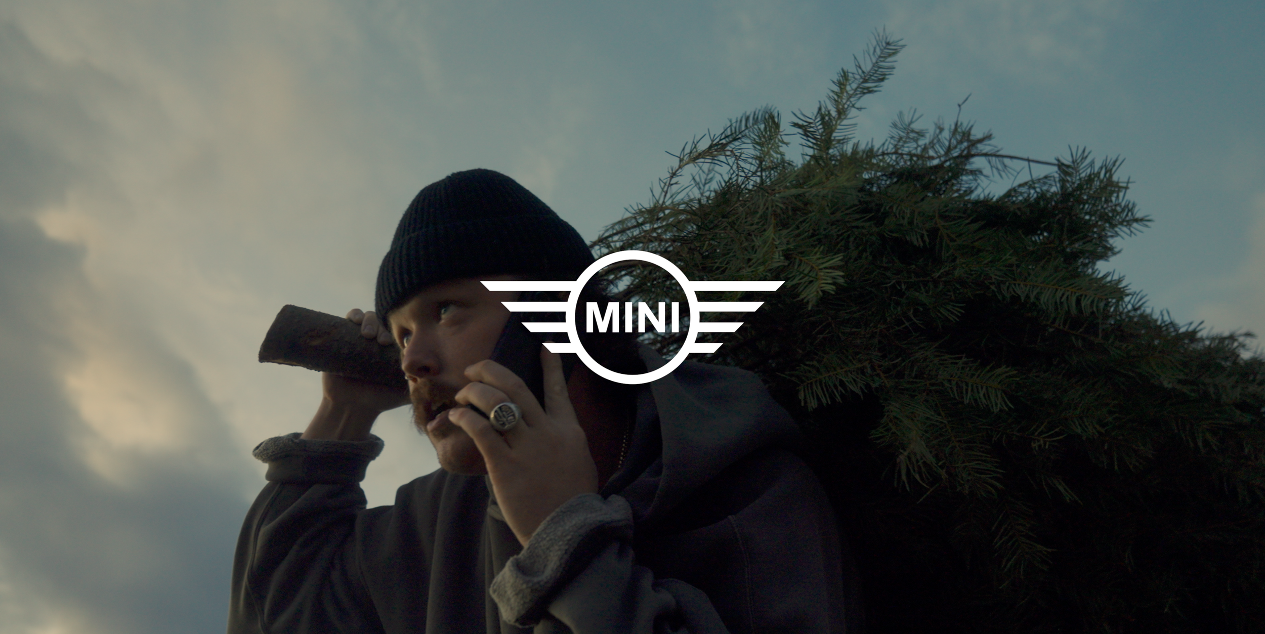 The Little Things (Mini Cooper)
