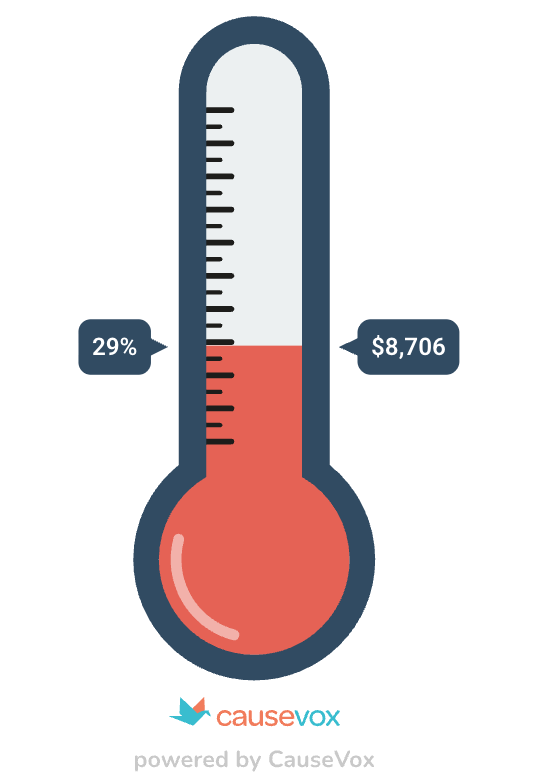 Thermometer graphic showing 29% and a dollar amount of $8,706, with CauseVox logo and powered by CauseVox