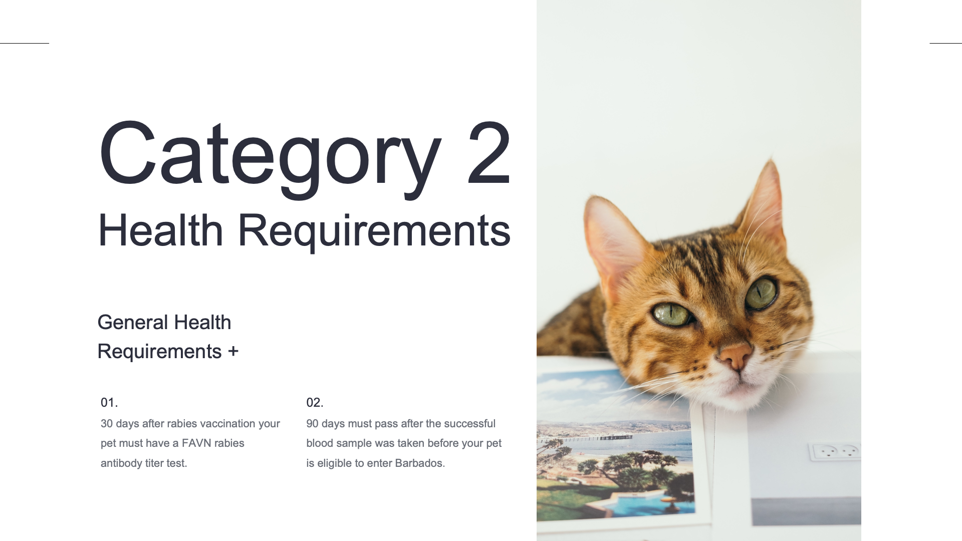 Category 2 Health Requirements