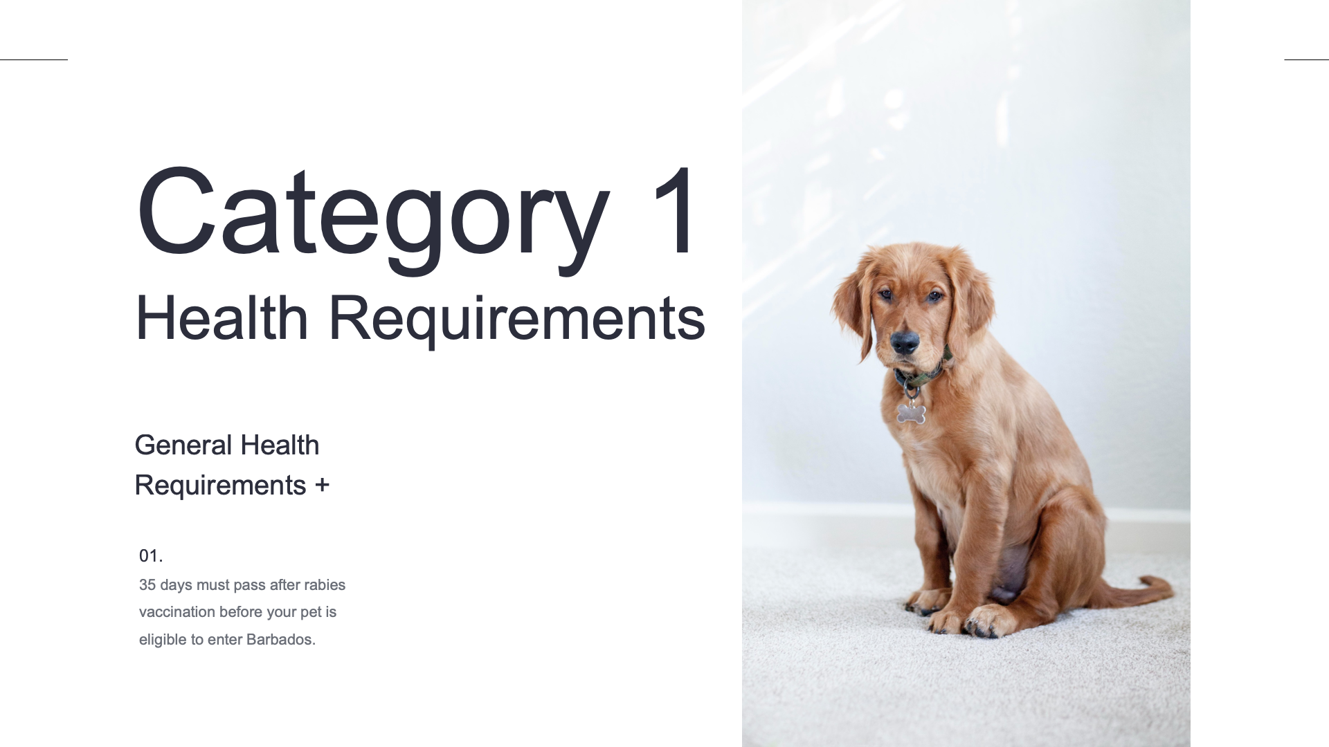 Category 1 Health Requirements