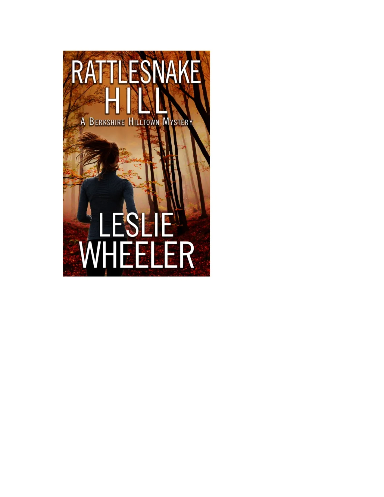 rattle3.jpg