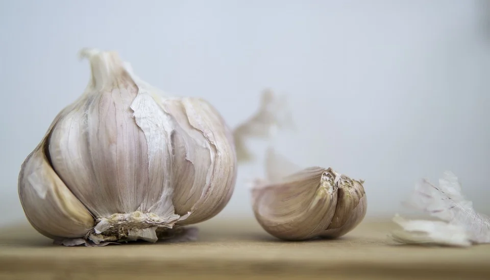 garlic-3732733_960_720.jpg