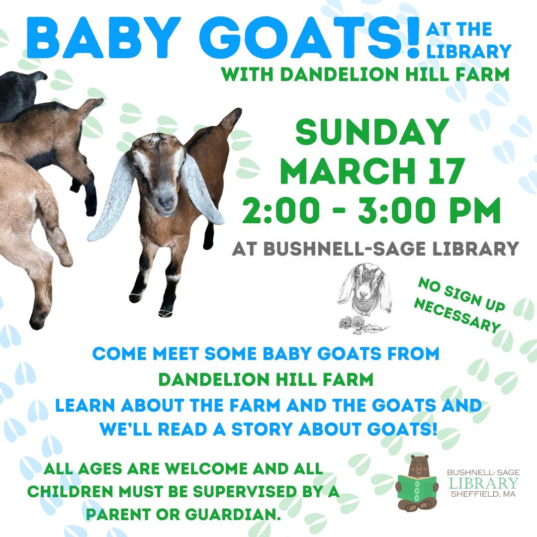 Alert!! Baby goats! Stop by on Sunday, March 17th from 2:00 - 3:00 PM to meet some of the baby goats from Dandelion Hill Farm! Learn about the goats and this local Sheffield farm. We've got a few goat-themed stories to read, but honestly, we're not t