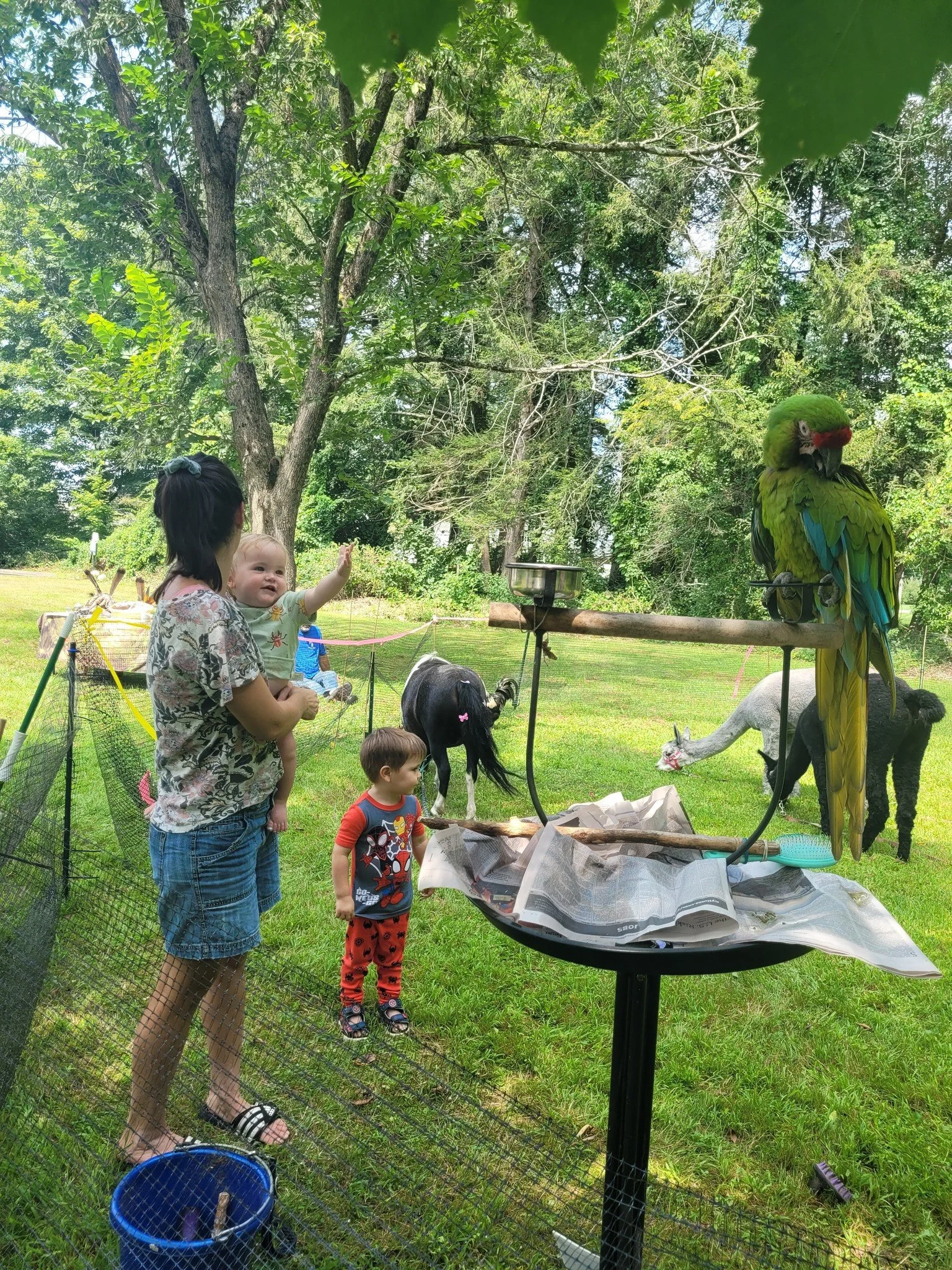 We were so happy that the rain got out of our way early last Saturday for our End of Summer Celebration! What a great day to celebrate our summer readers who took the challenge to &quot;Level Up at Your Library.&quot;

Thank you to @starbrightcassie 