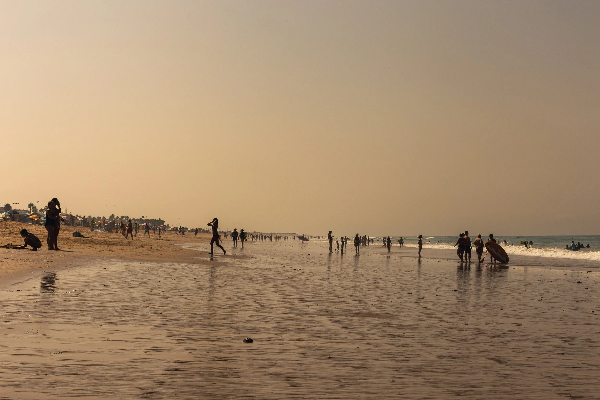 _MG_5858.jpg