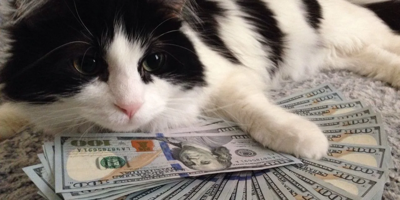 10 Things Every Woman Should Know About Financial Planning