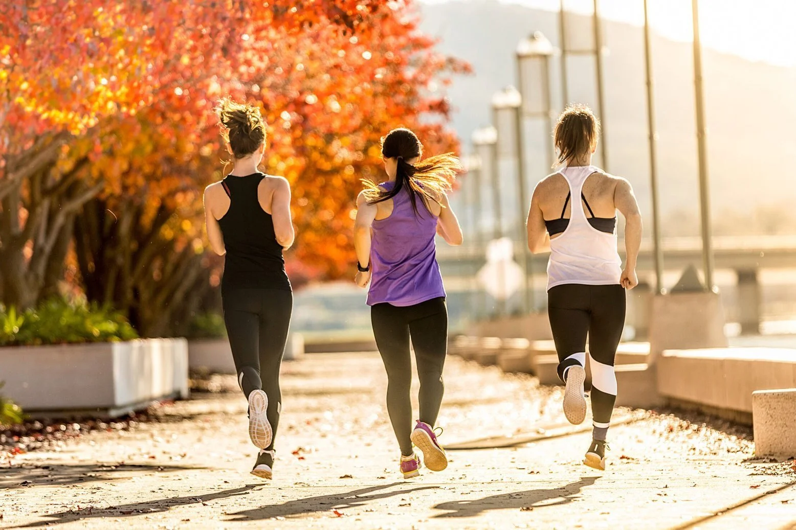 The Slow, Powerful Work of Bridging the Women’s Health Gap