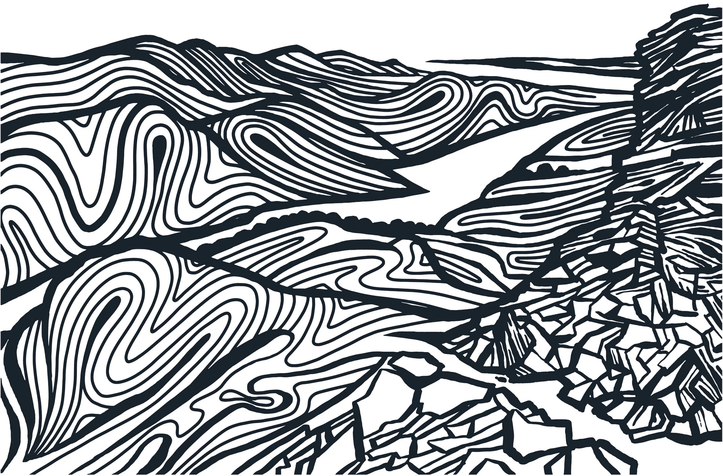 ILLUSTRATION_FINAL.jpg