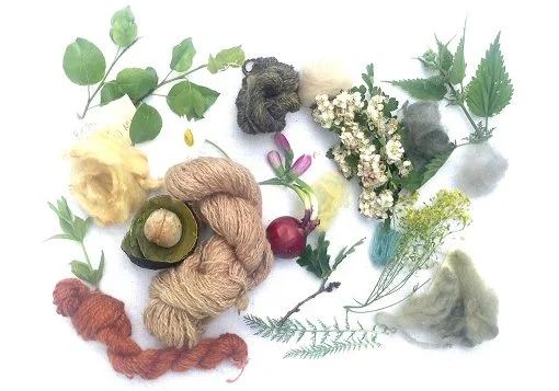 plantdyed01.jpg