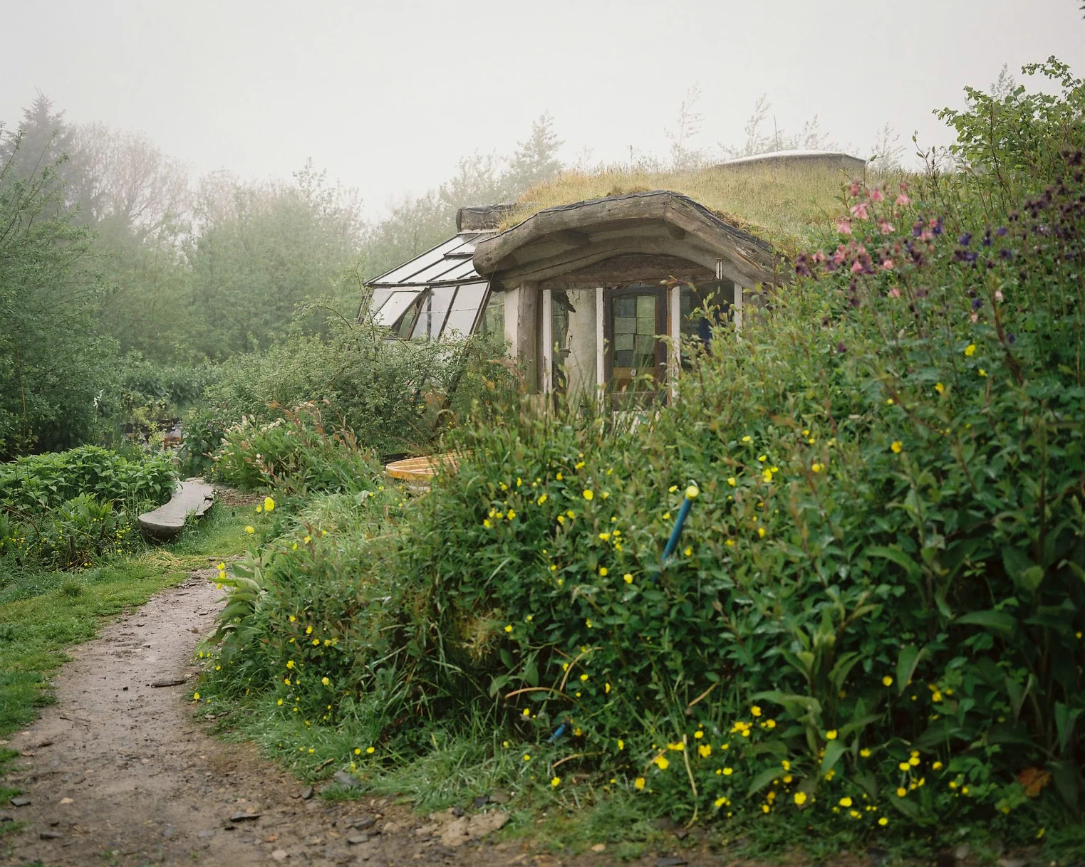 Berllan Dawel by Amanda Jackson