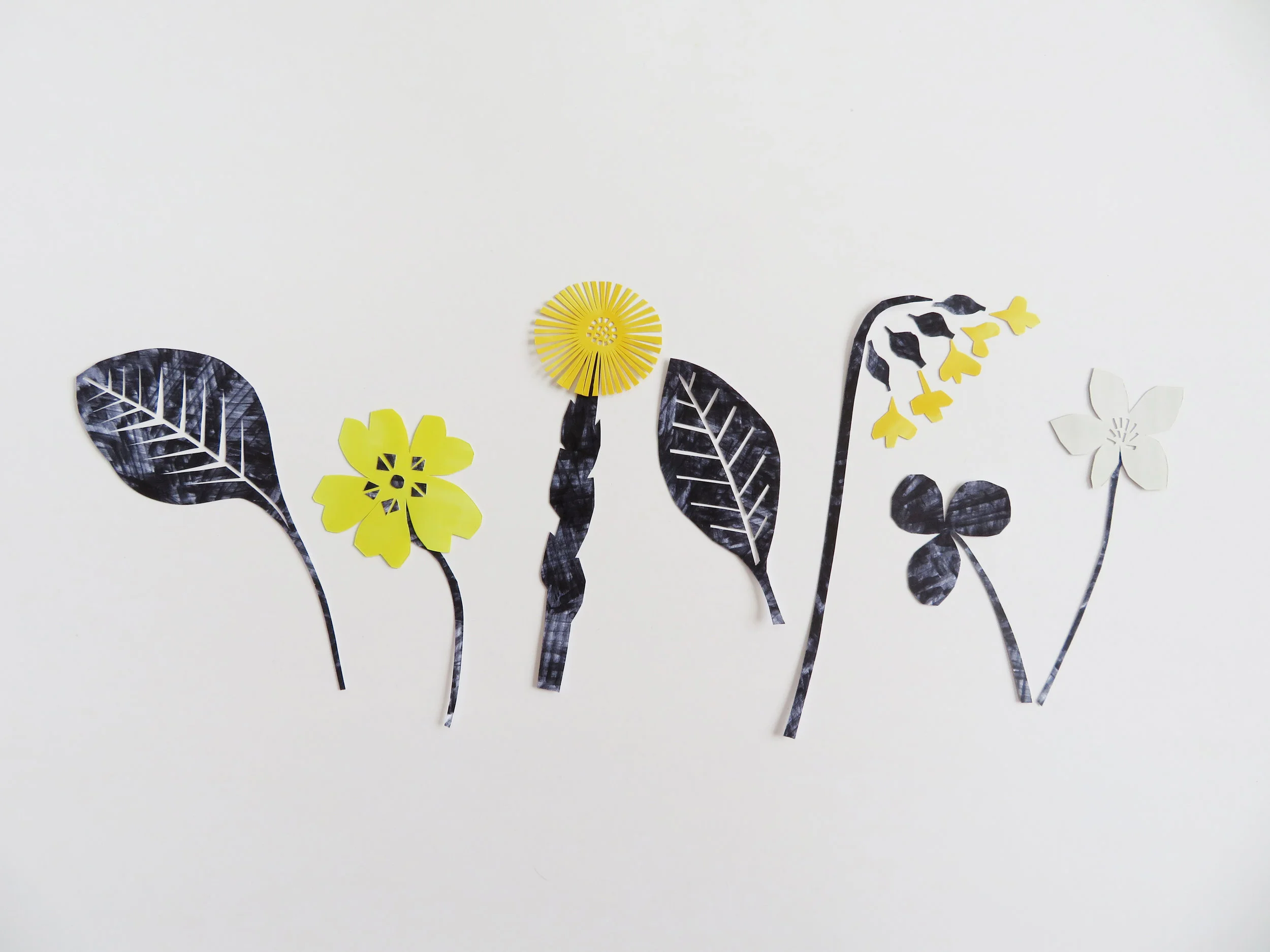 Papercut Flowers.jpg