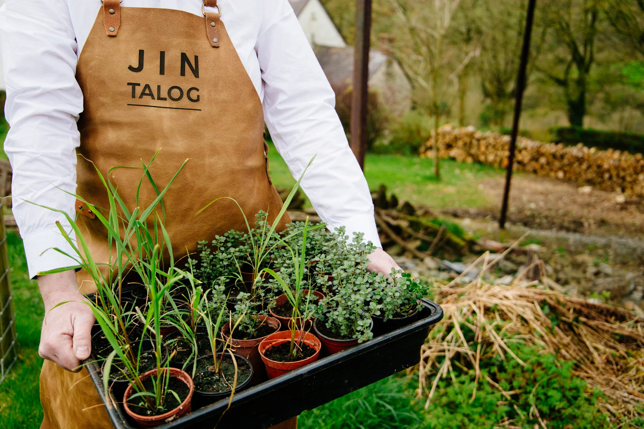 Jin_Talog_web-256.jpg