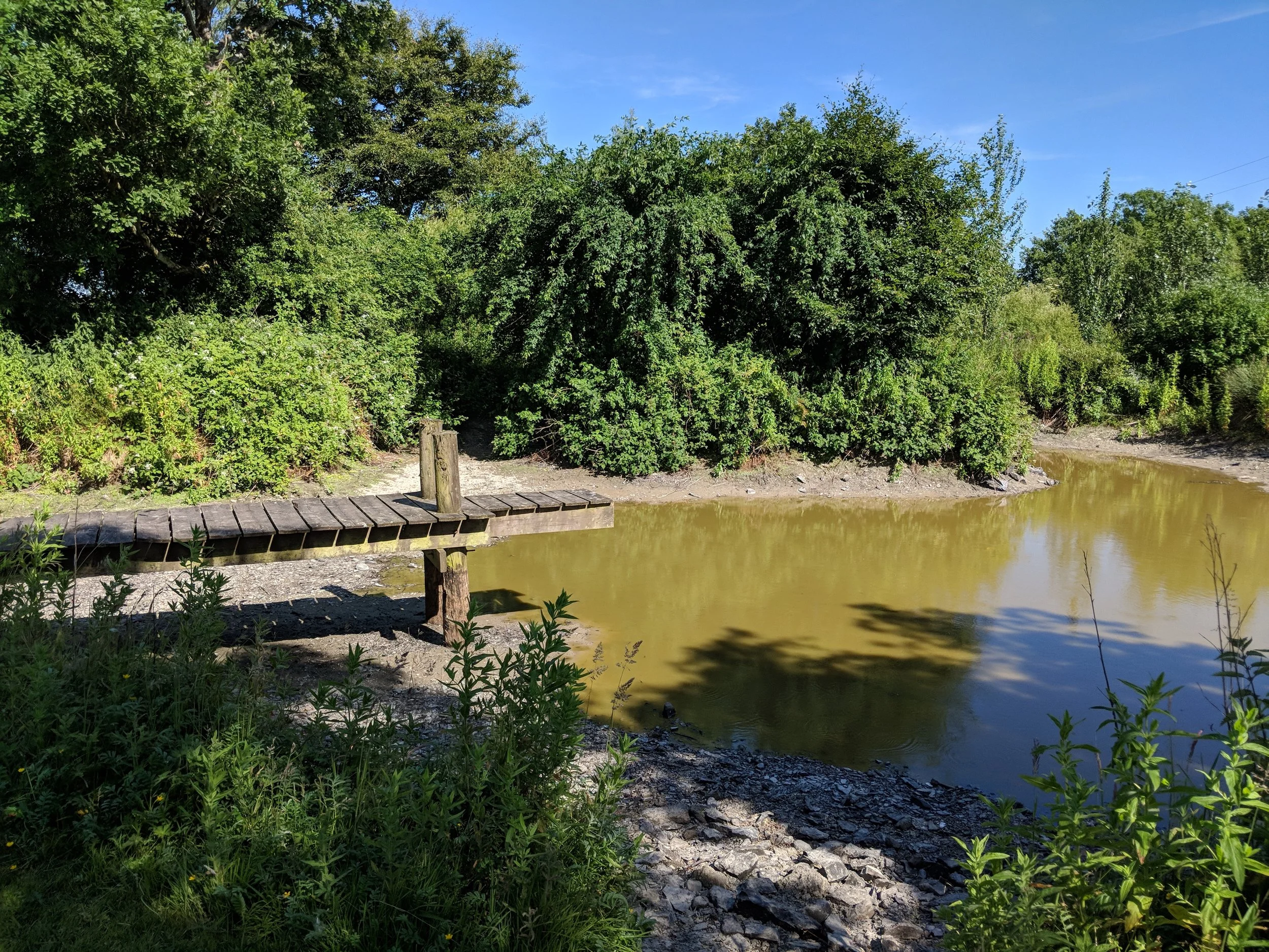 IMG_20180625_163229.jpg