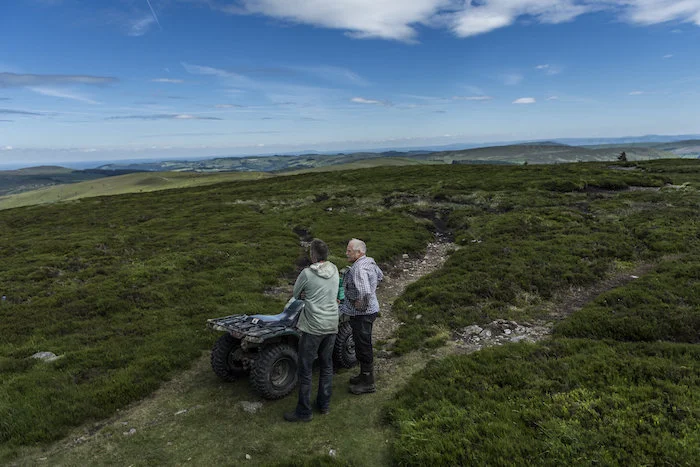Landscape shot before the big gathering of 200 ewes and labs across the welsh countryside.
