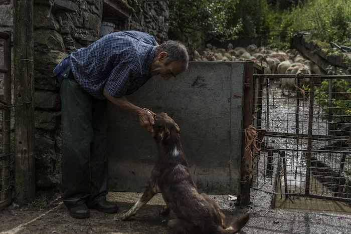 Ger praising the new sheepdog for his hard work.