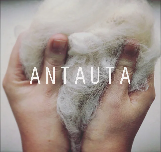 Antauta1.jpg