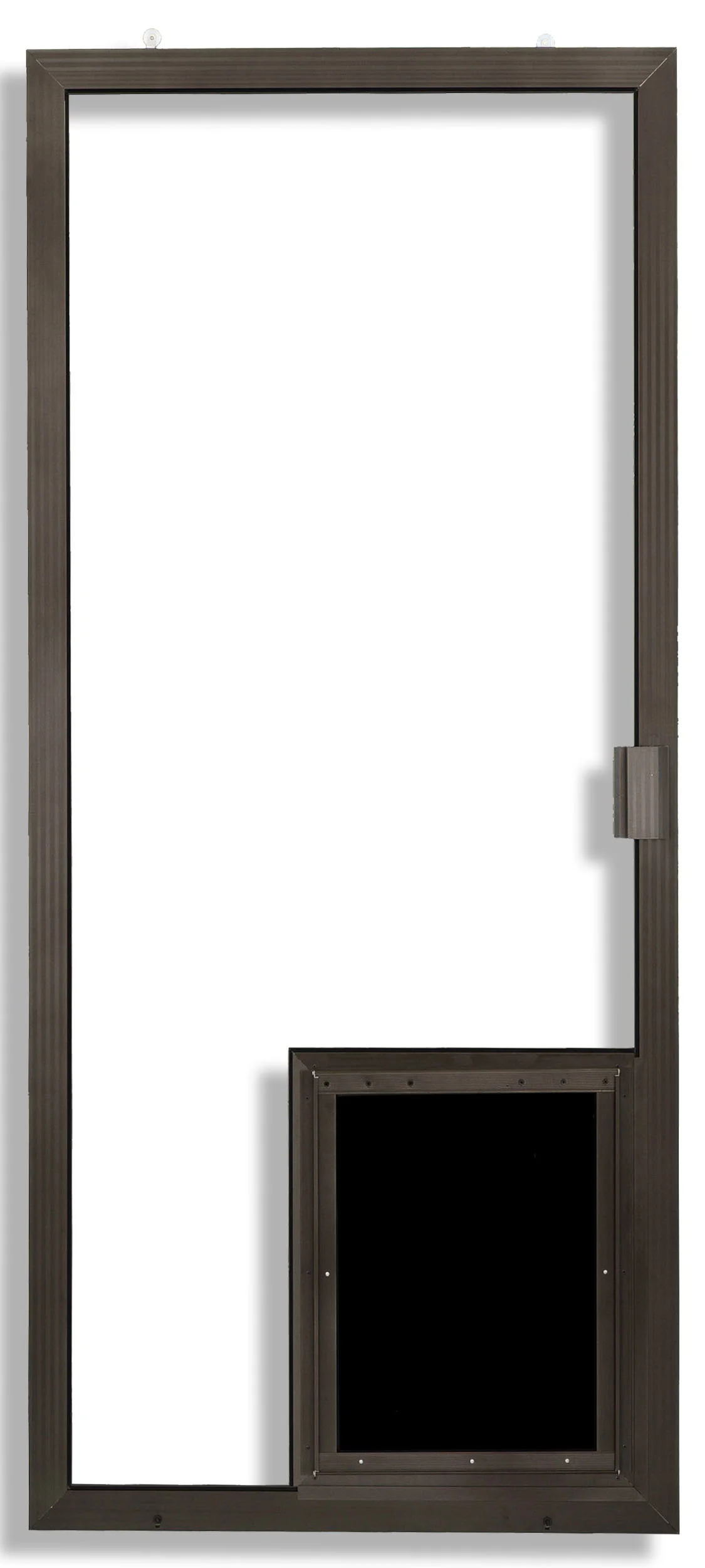 Century with X-Large Pet Door Installed in Bronze