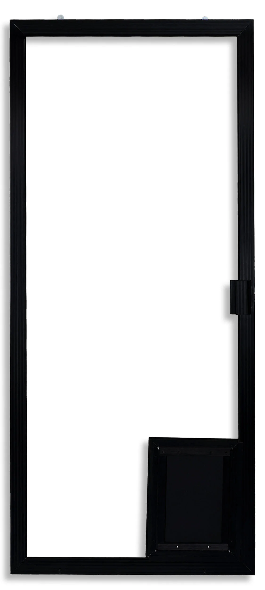 Century with Medium Pet Door Installed in Black