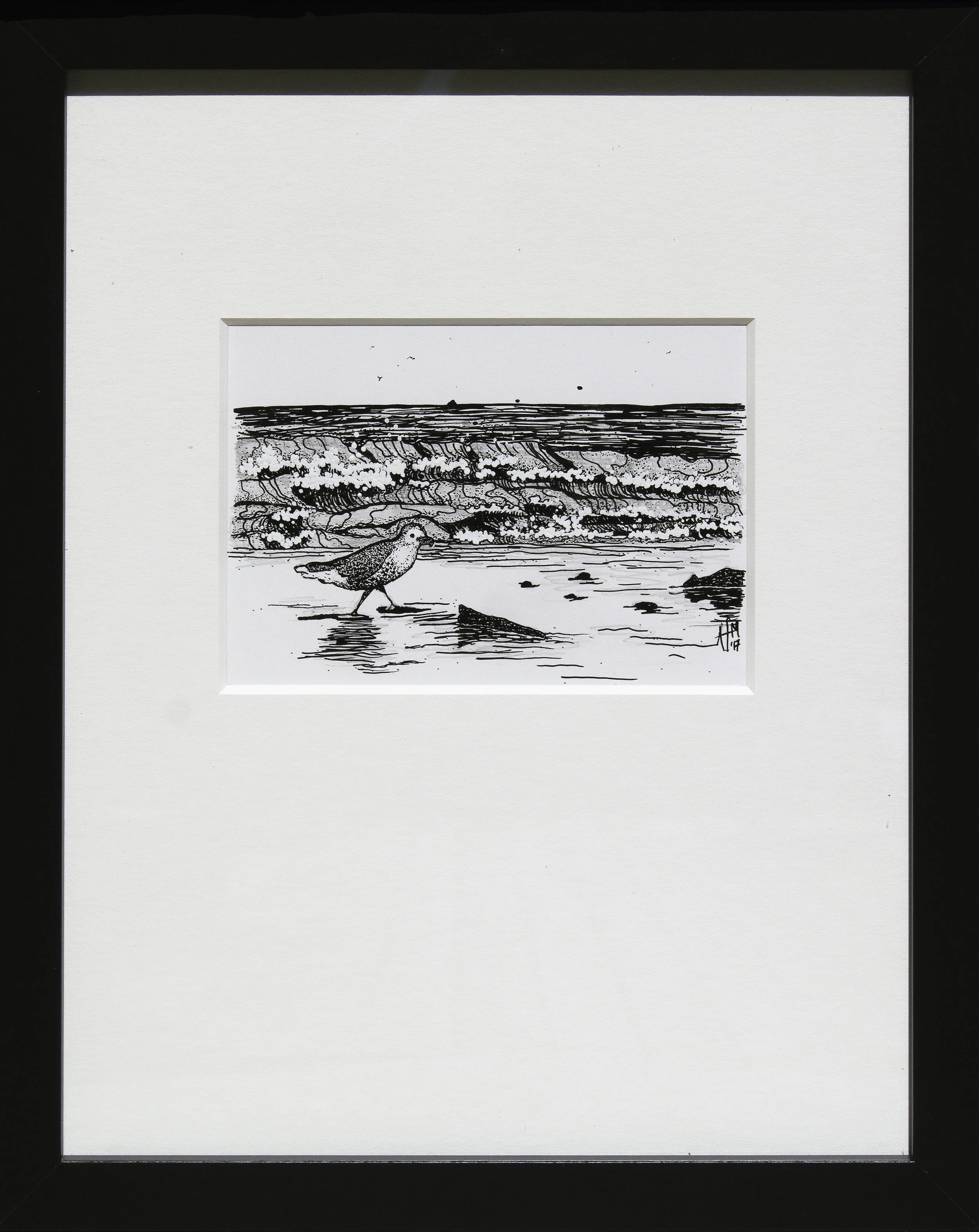 Plover at the Seaside.jpg