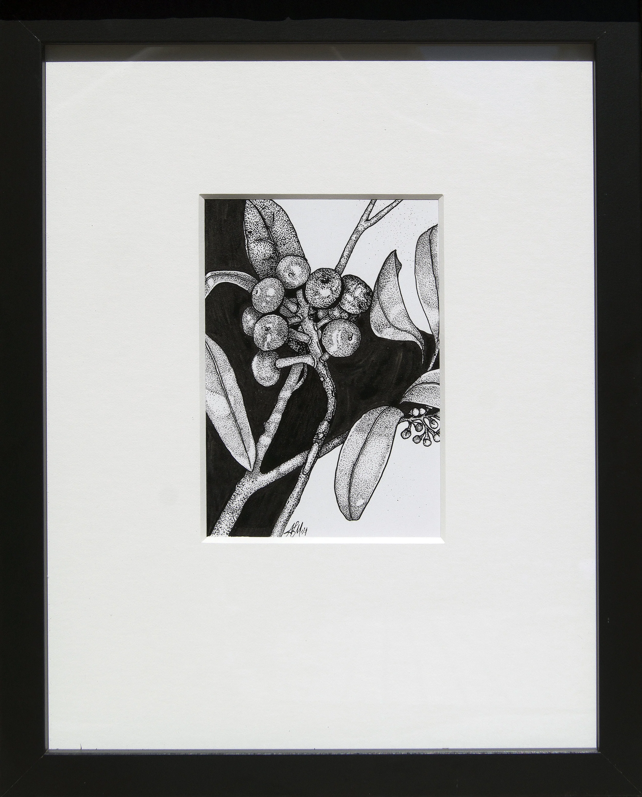 Japonica cultivar.jpg