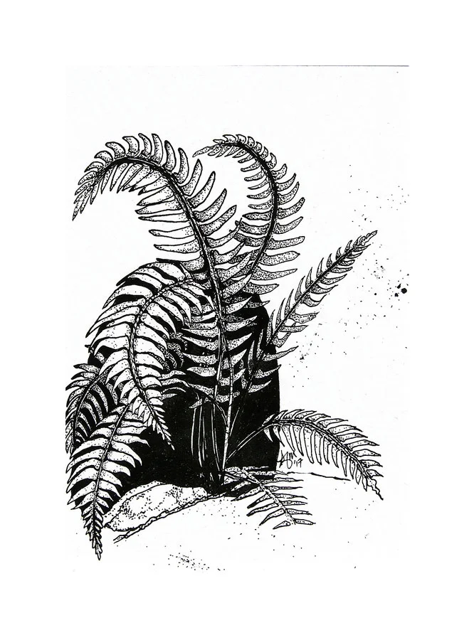 Polystichum_1.jpg