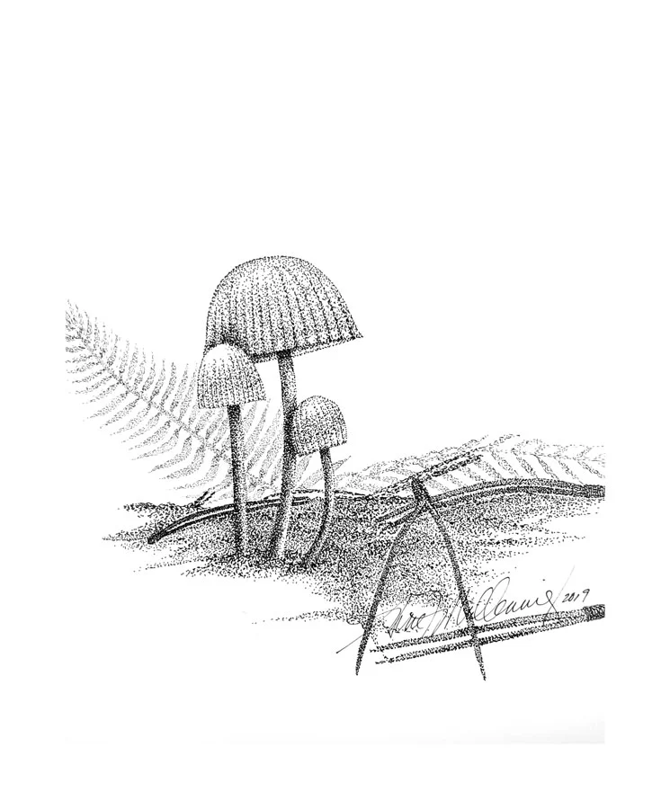psilocybe.jpg