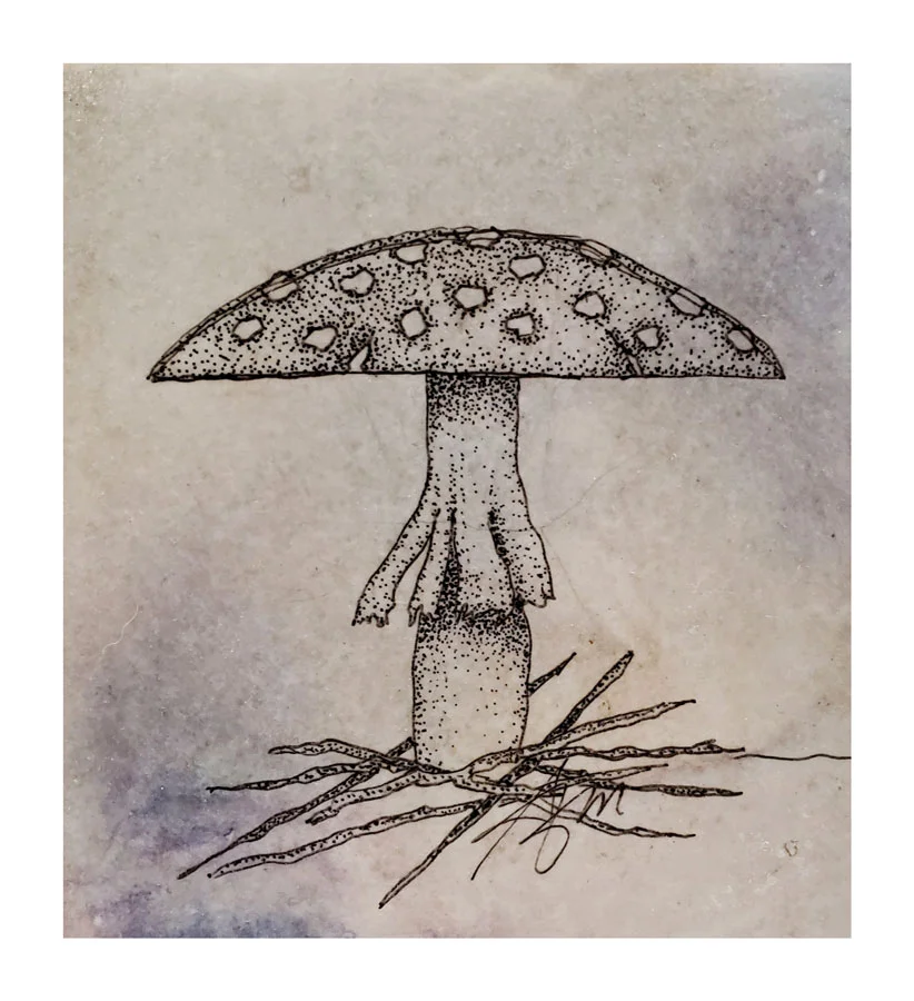 Amanita_tile.jpg