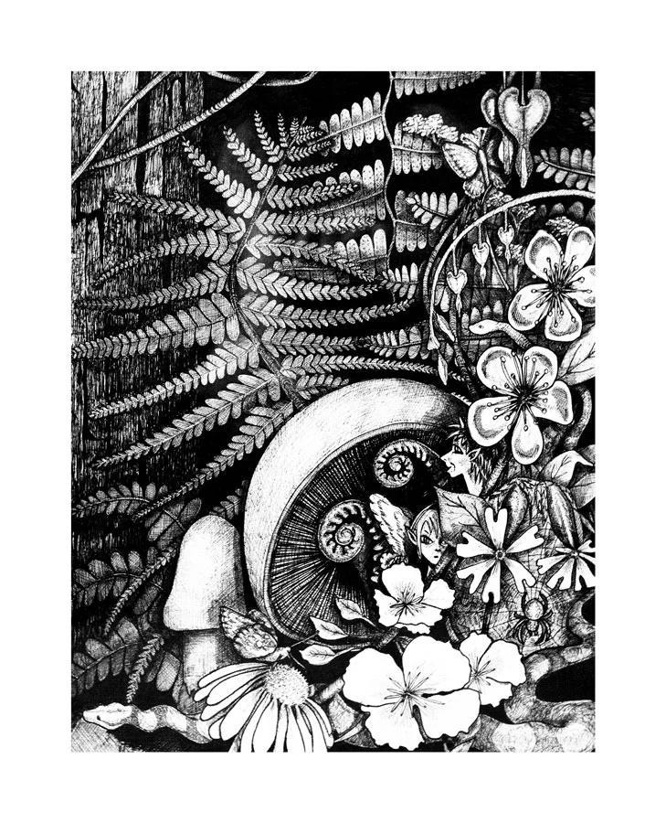 Redwood Dreams in India Ink, 2010