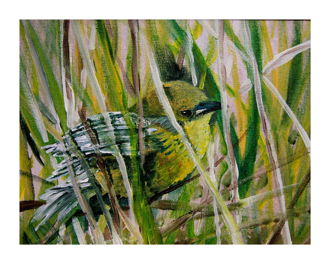 Warbler in Hiding, Acrylic, 2012