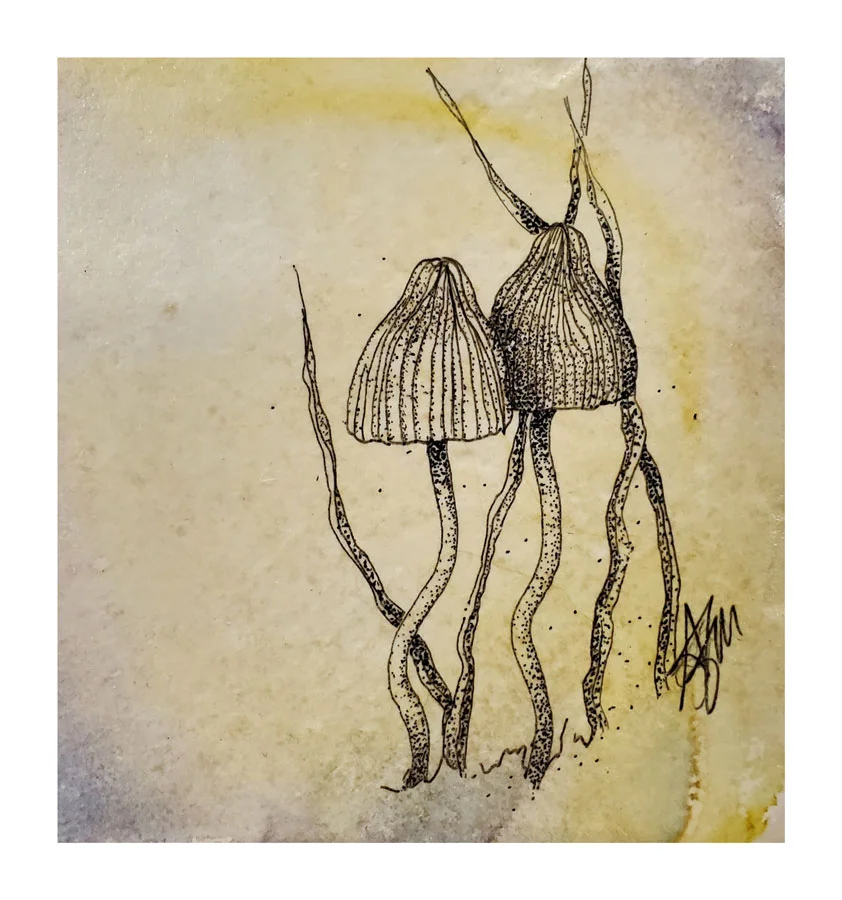 Psilocybe2_tile.jpg