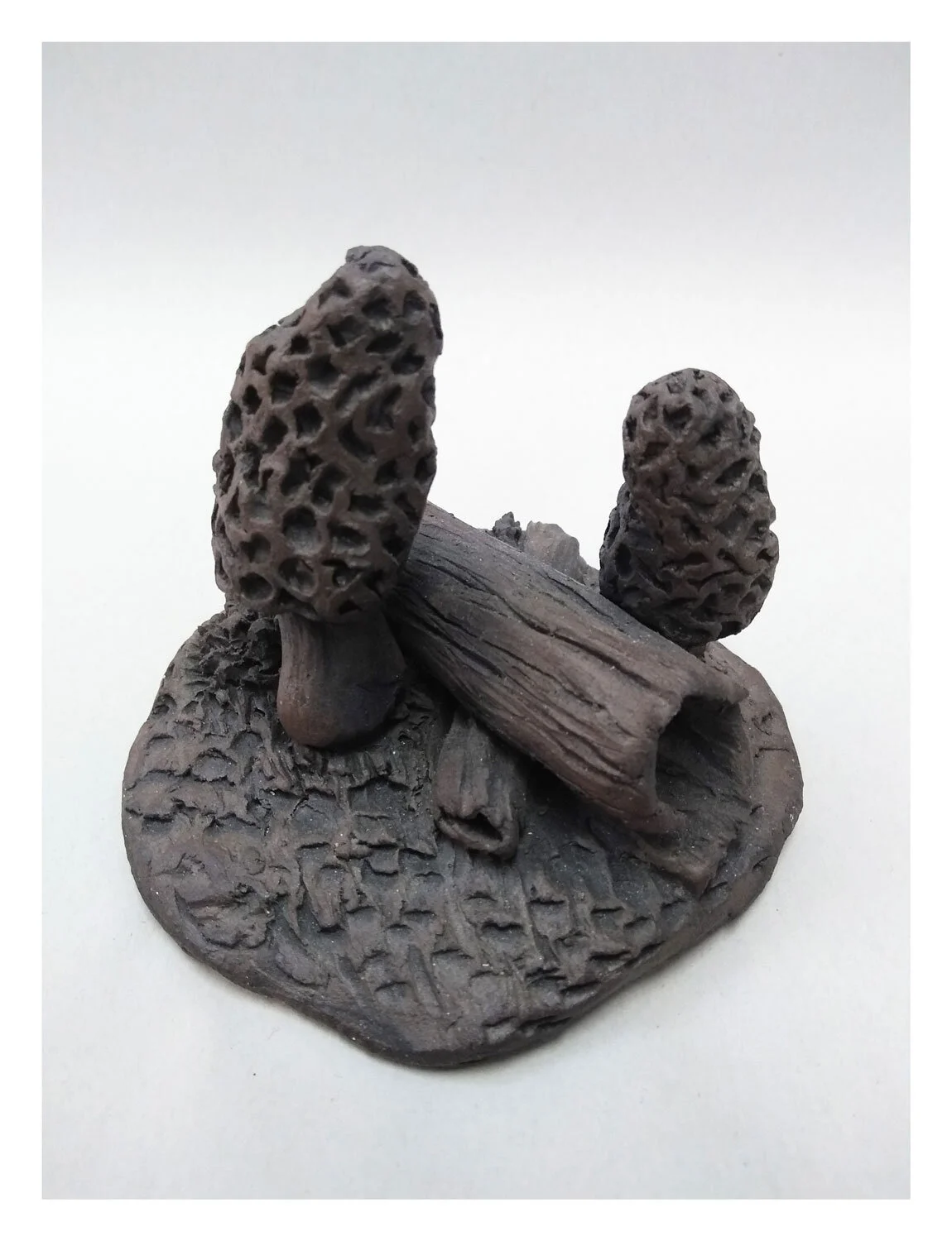 Morels, Clay Sculpture, 2017