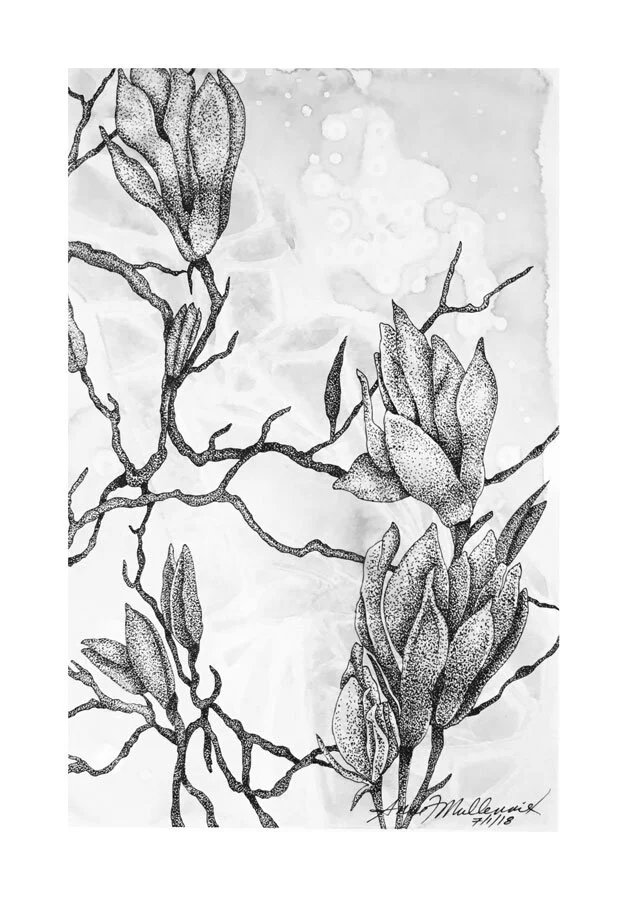 Magnolias_BnW.jpg