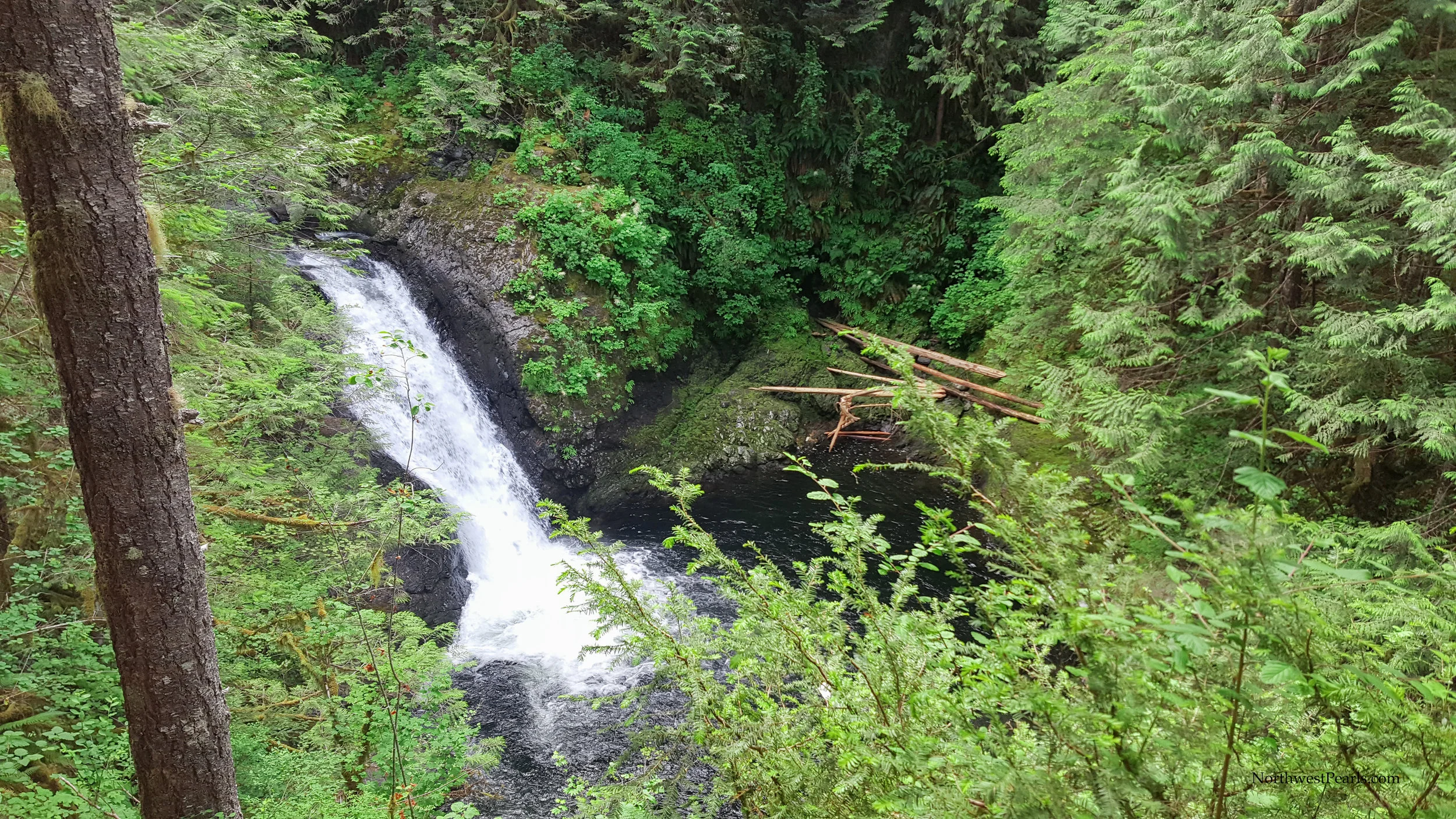 Wallace Falls-3.jpg