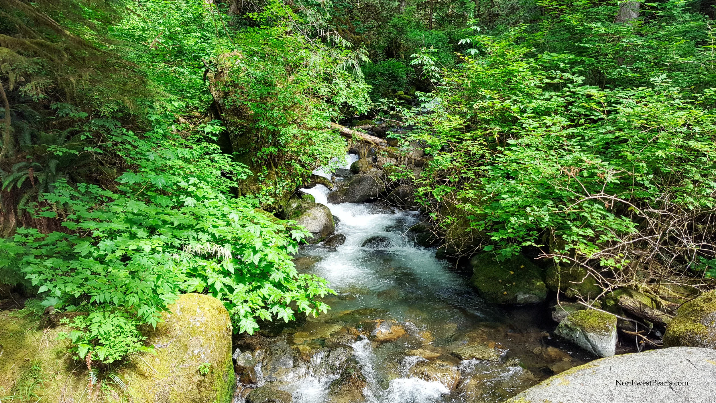 Wallace Falls-2.jpg