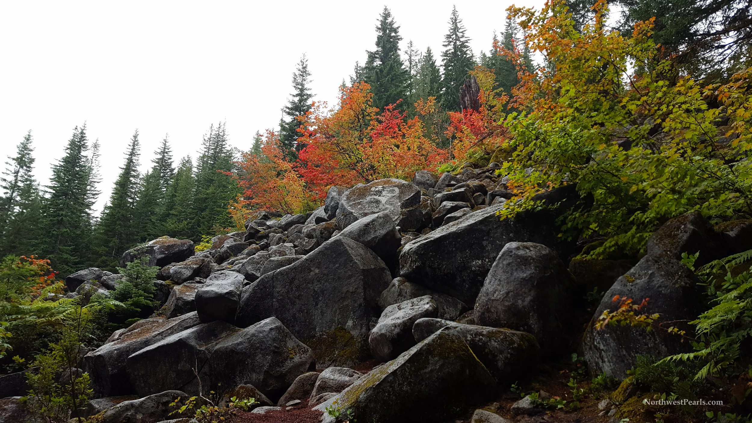 Talapus and Olallie Lakes-2.jpg