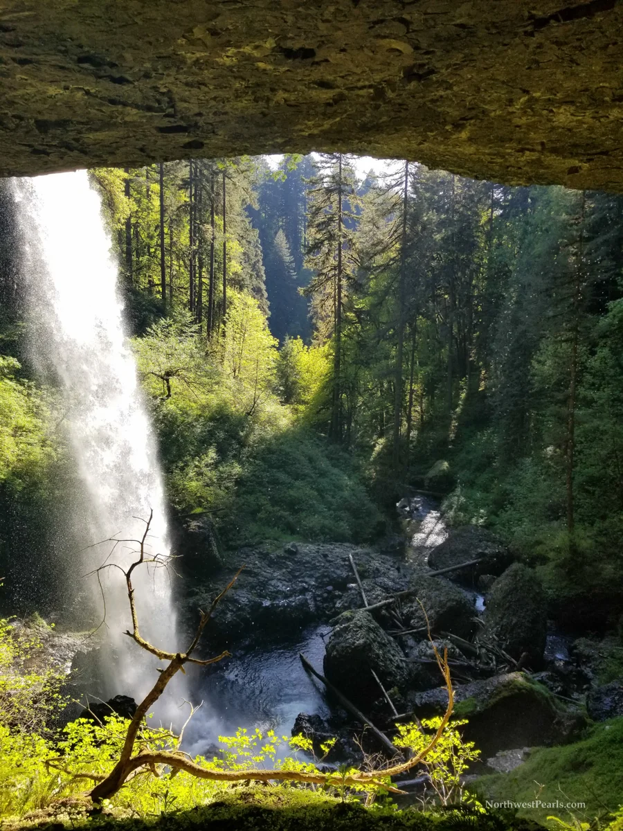 Silver Falls-2.jpg