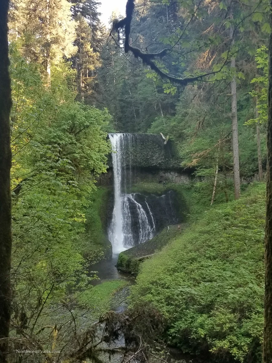 Silver Falls-4.jpg
