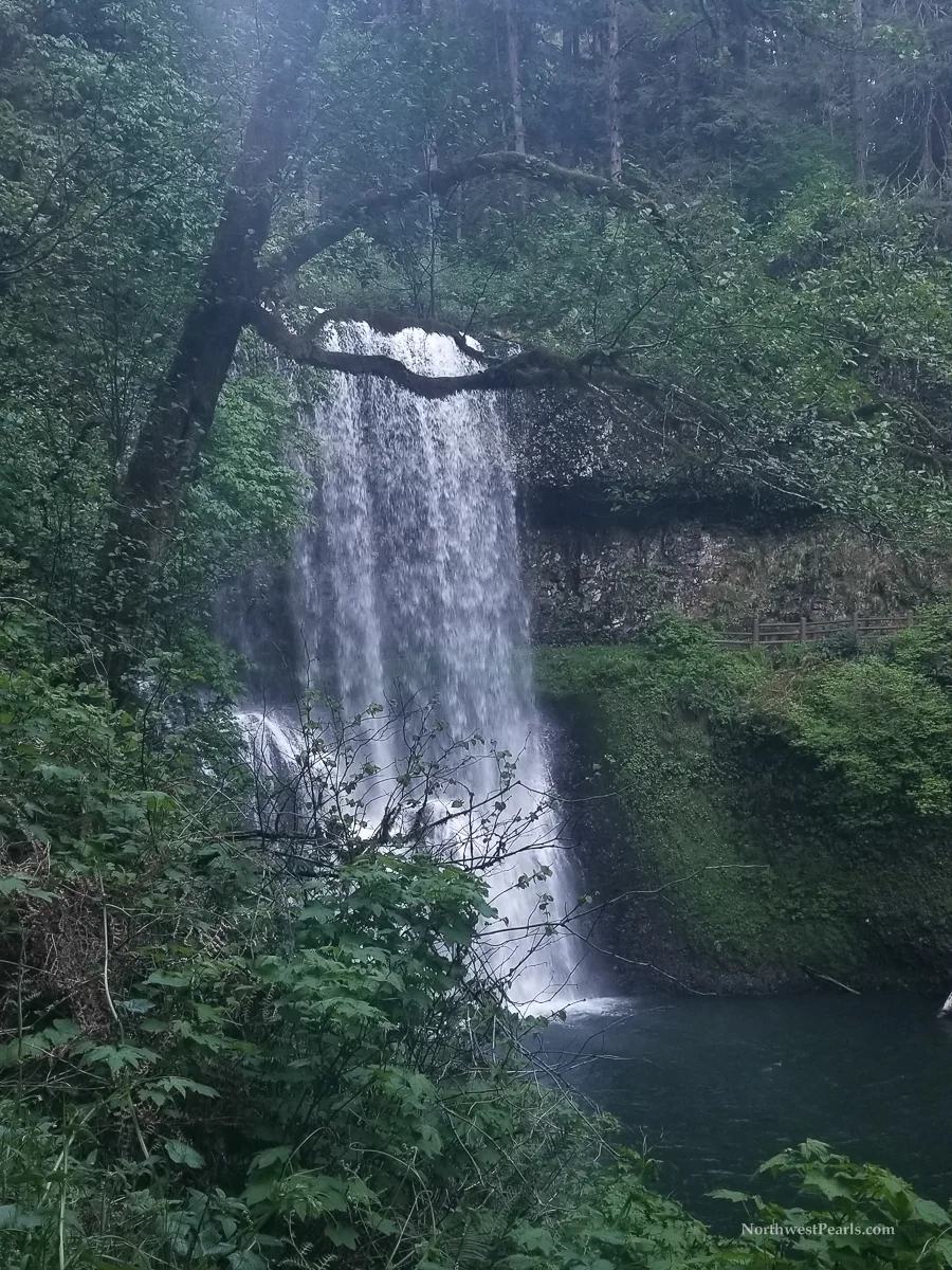 Silver Falls-8.jpg