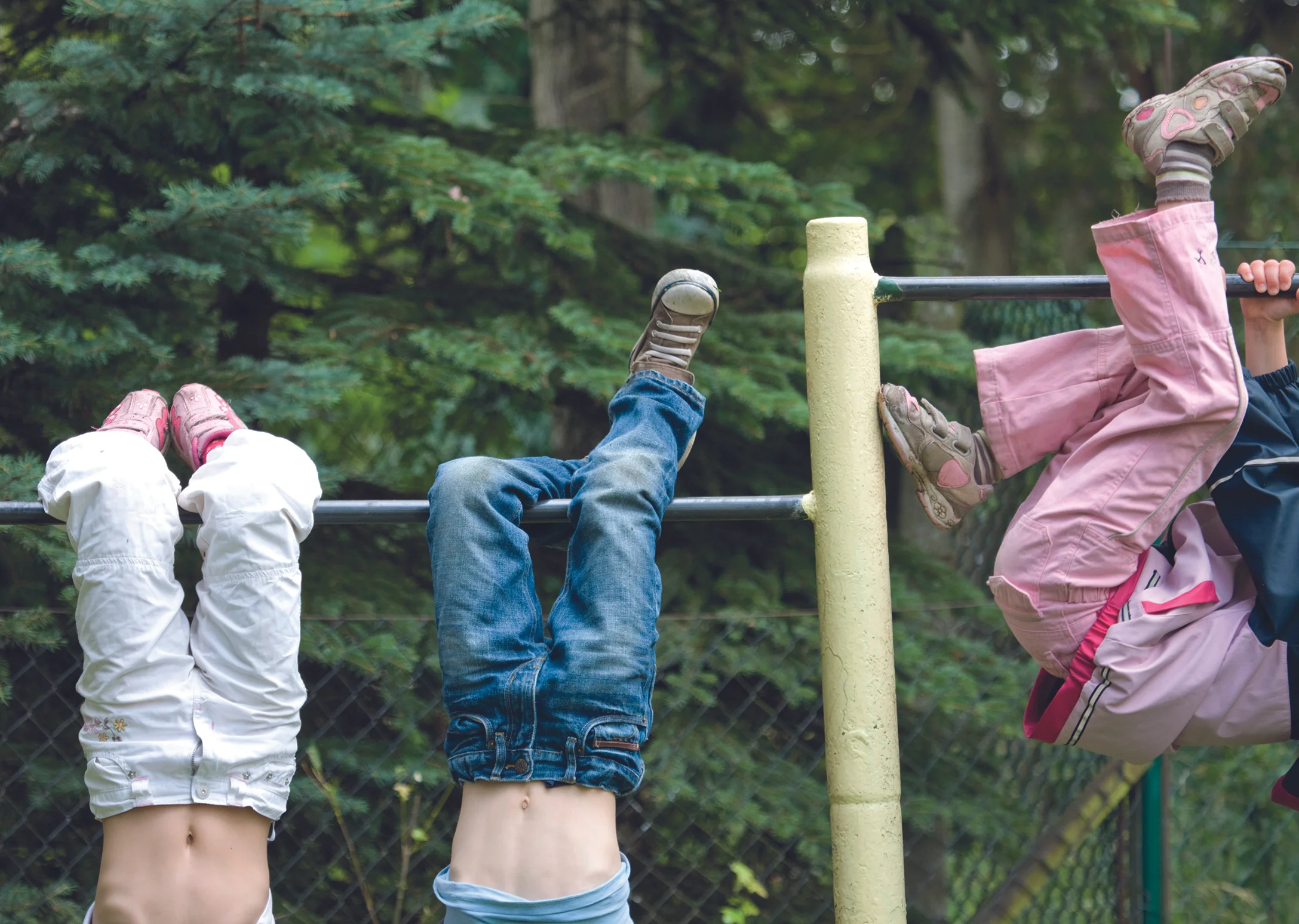 hanging.jpg