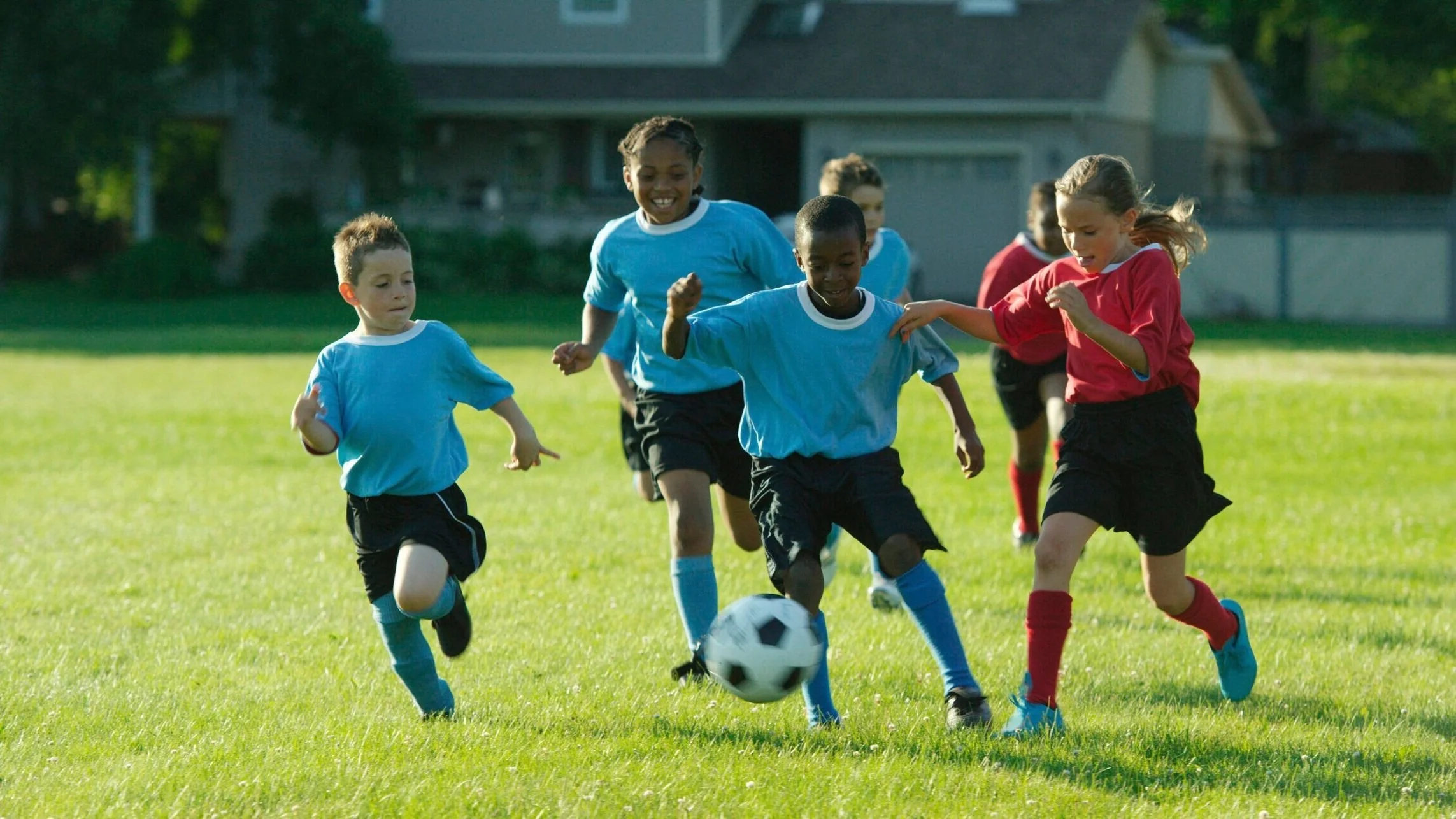   Your Chance to Be a Project Play Champion   Applications open through March 31   Apply Now  