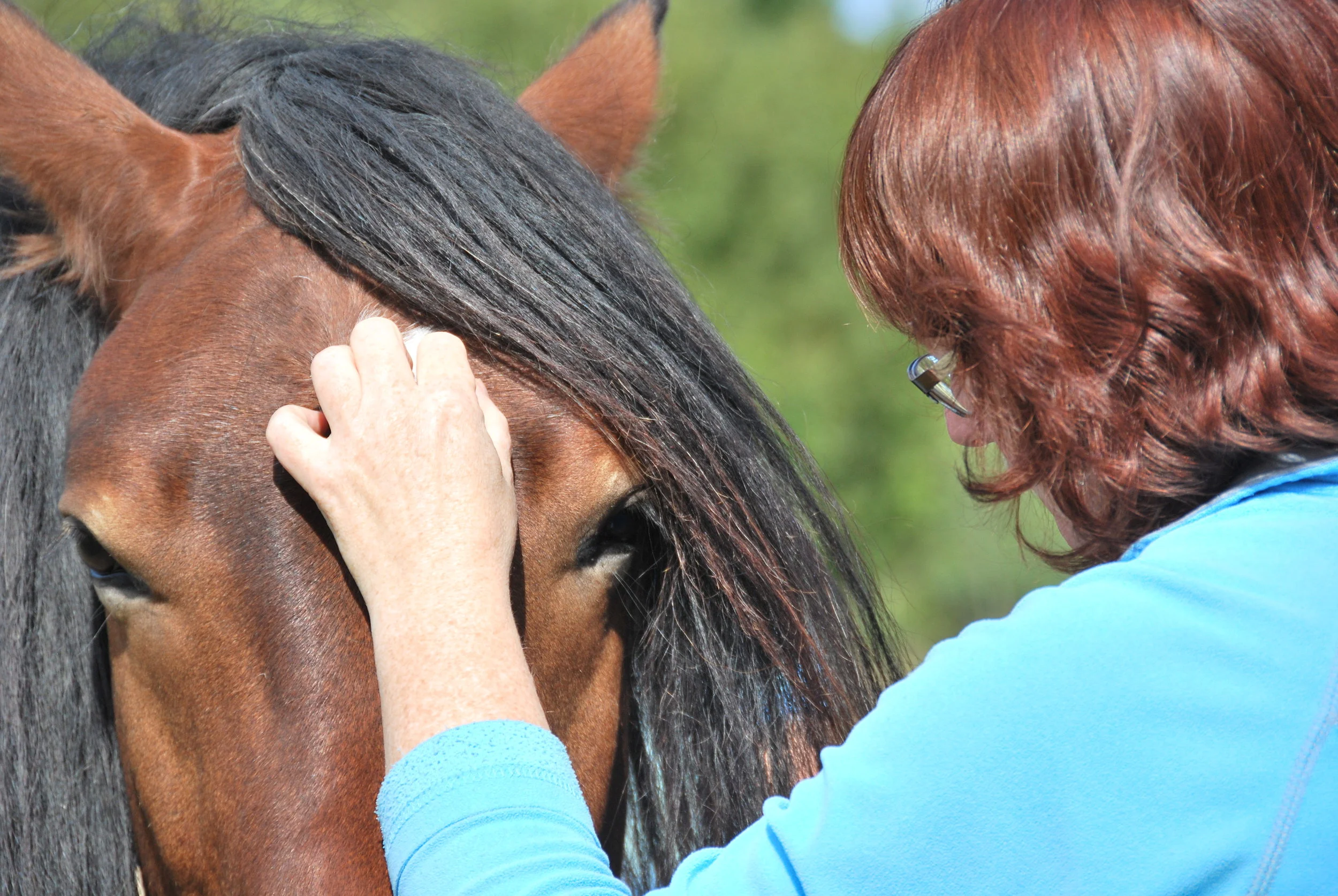 Photo credit Nancy Winton