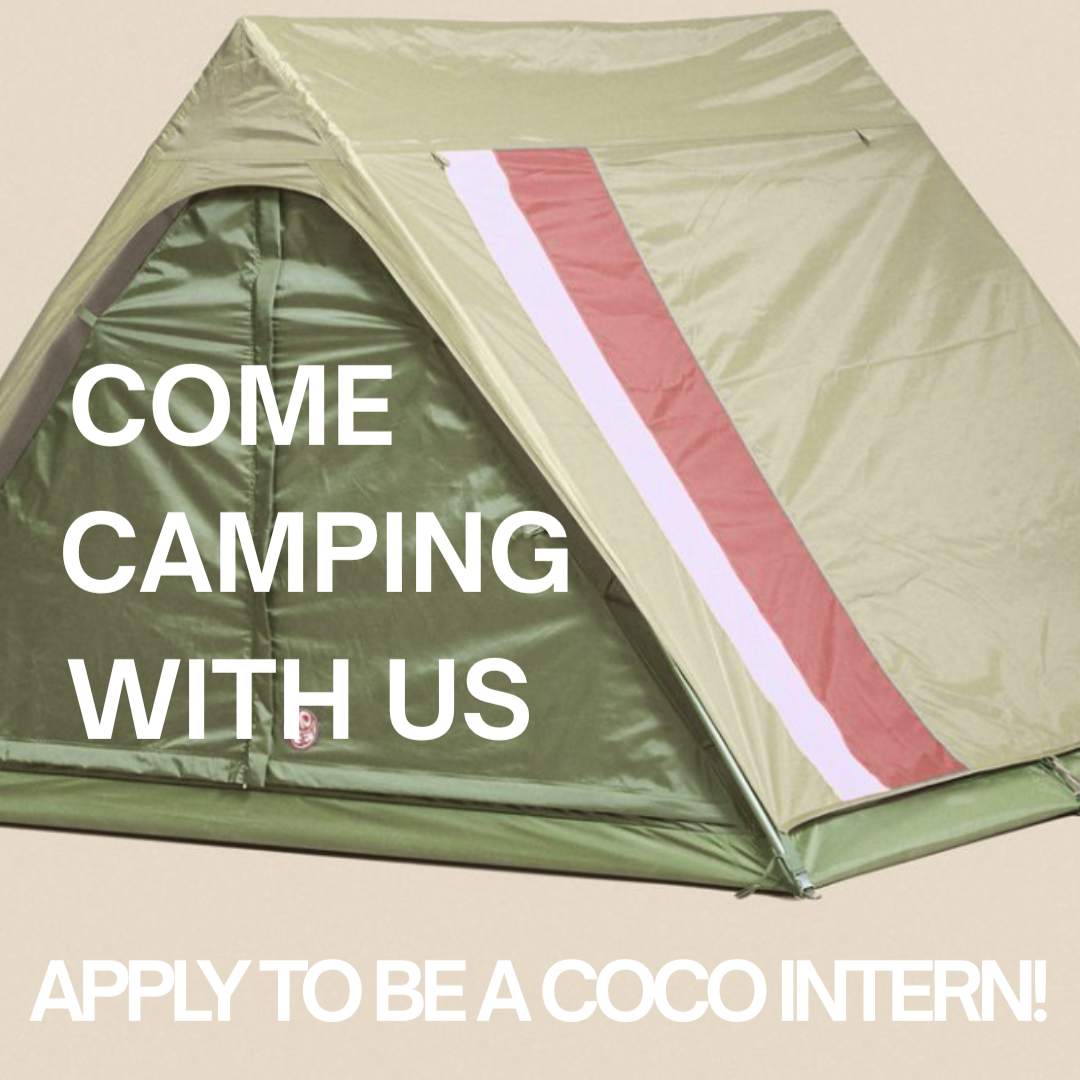 Summer Internship Application - Due Feb 27th! 