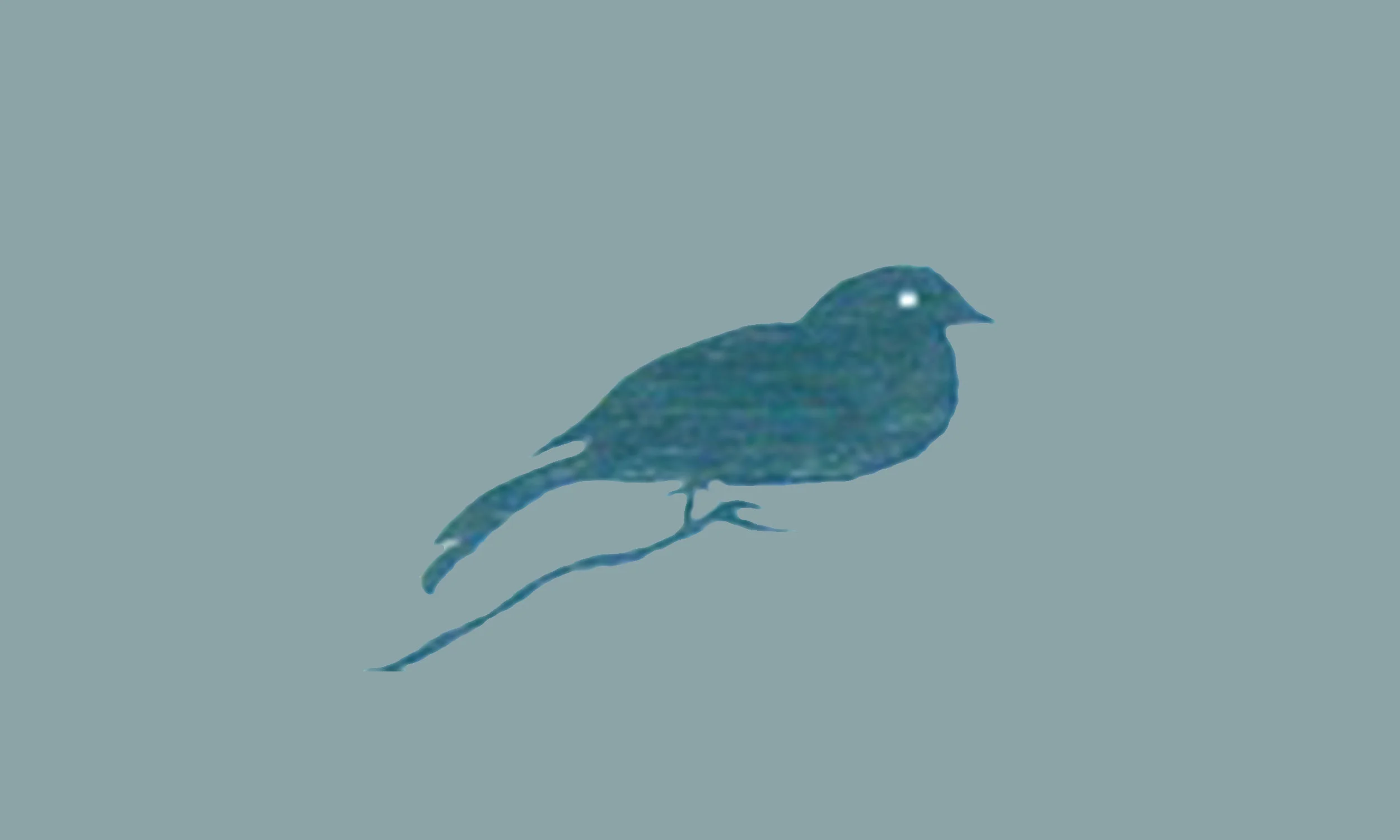 Bird_background_bluegray.jpg