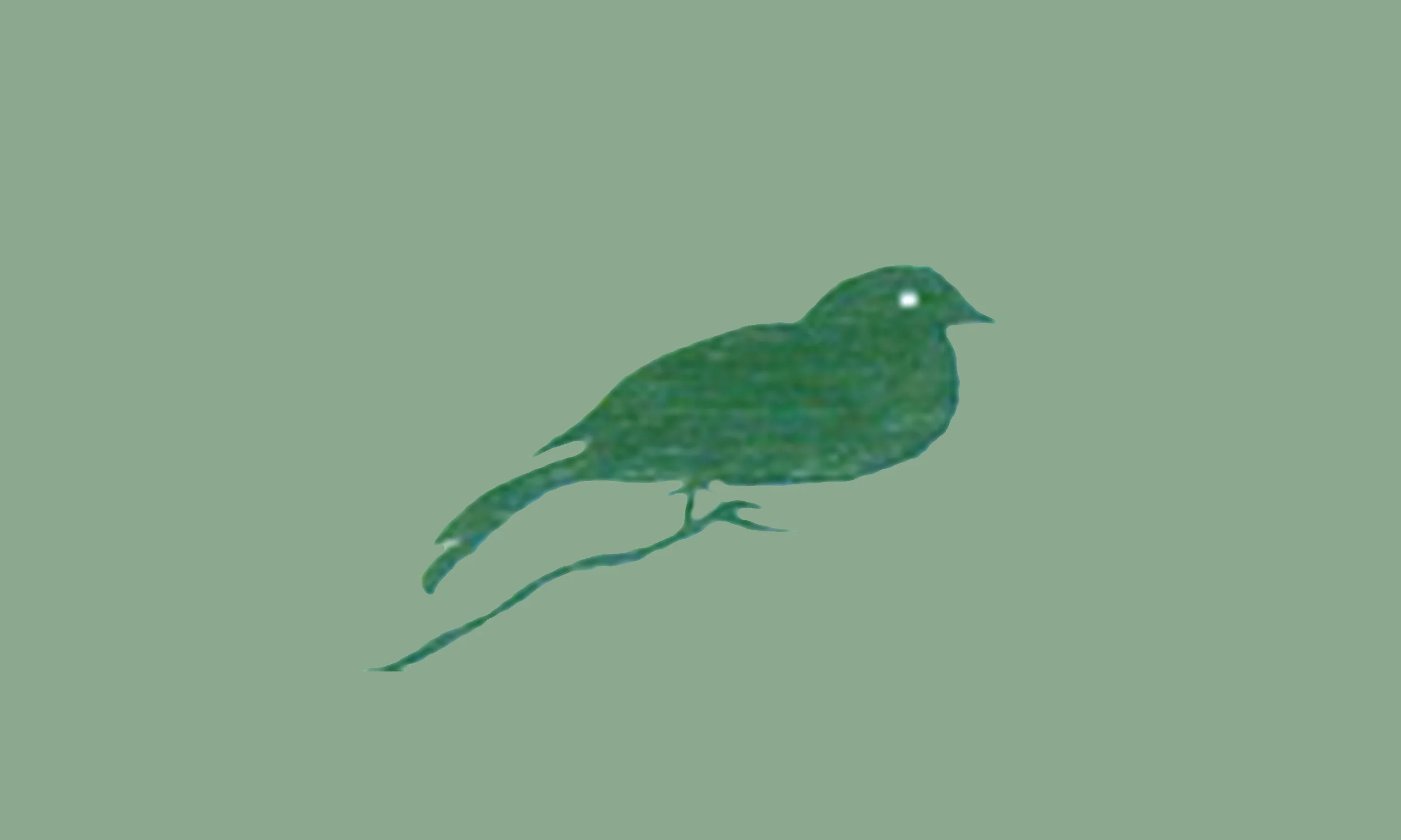 3Bird_background_green.jpg
