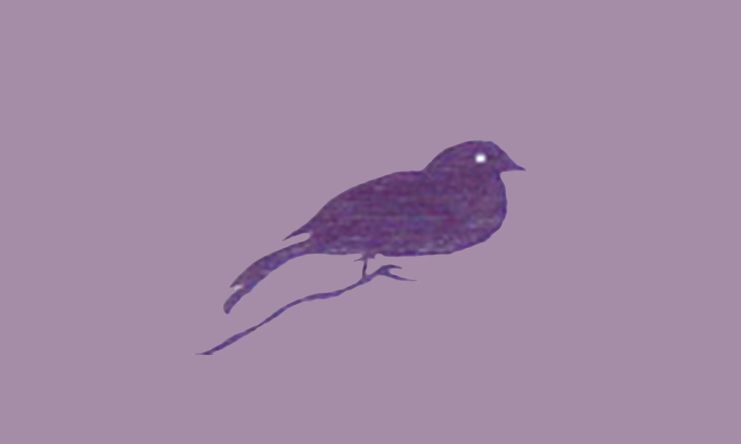 5Bird_background_purple2.jpg