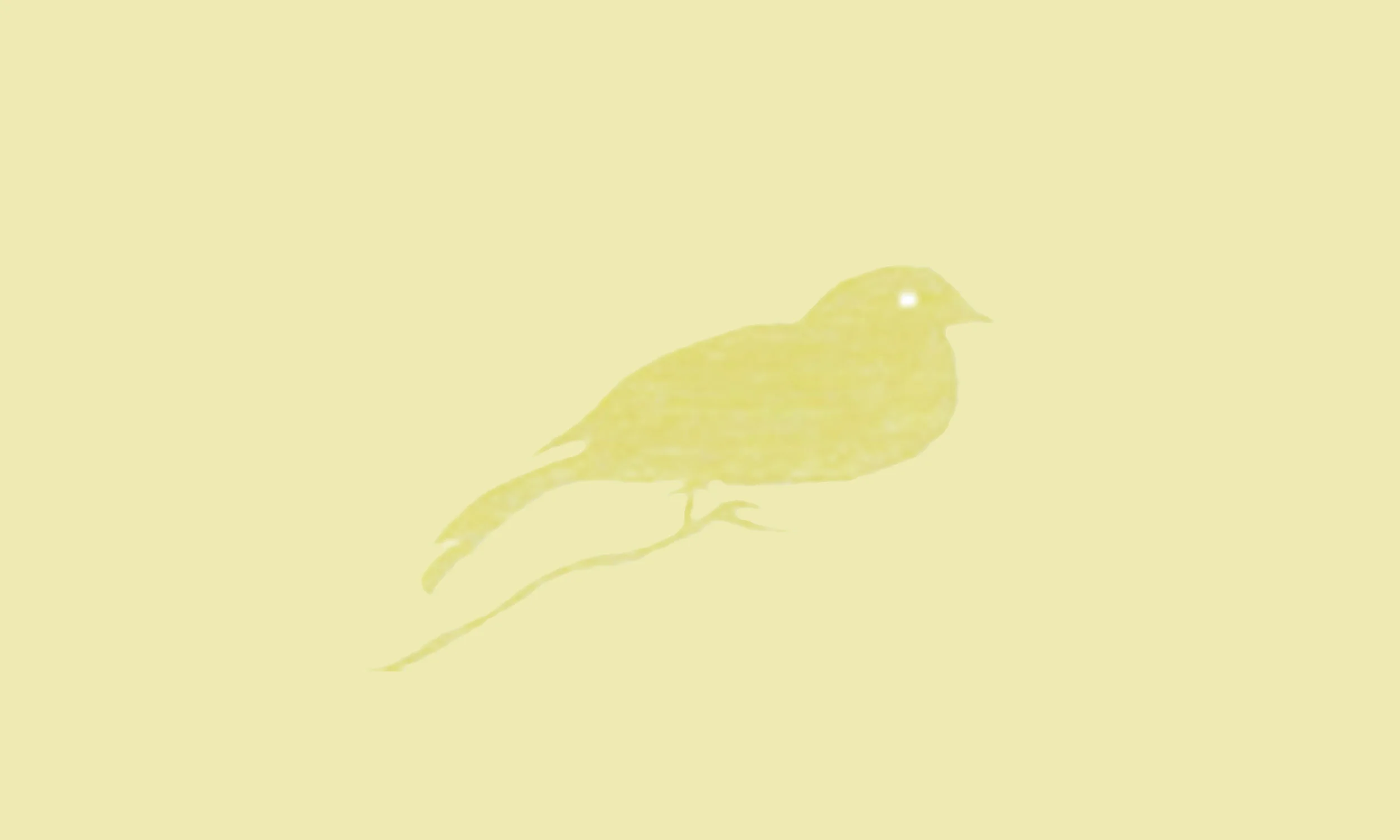 4Bird_background_dkyellow.jpg