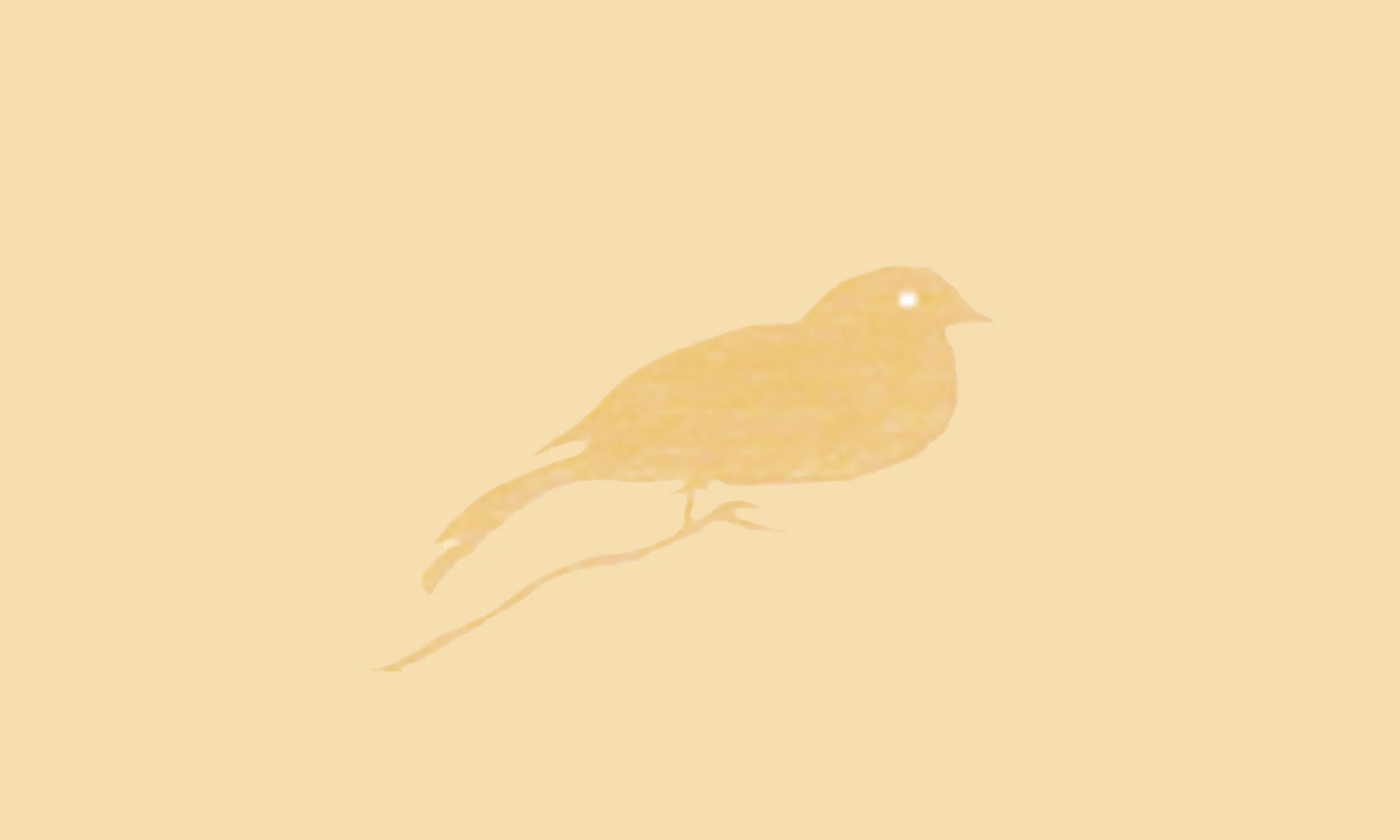 2Bird_background_orange.jpg