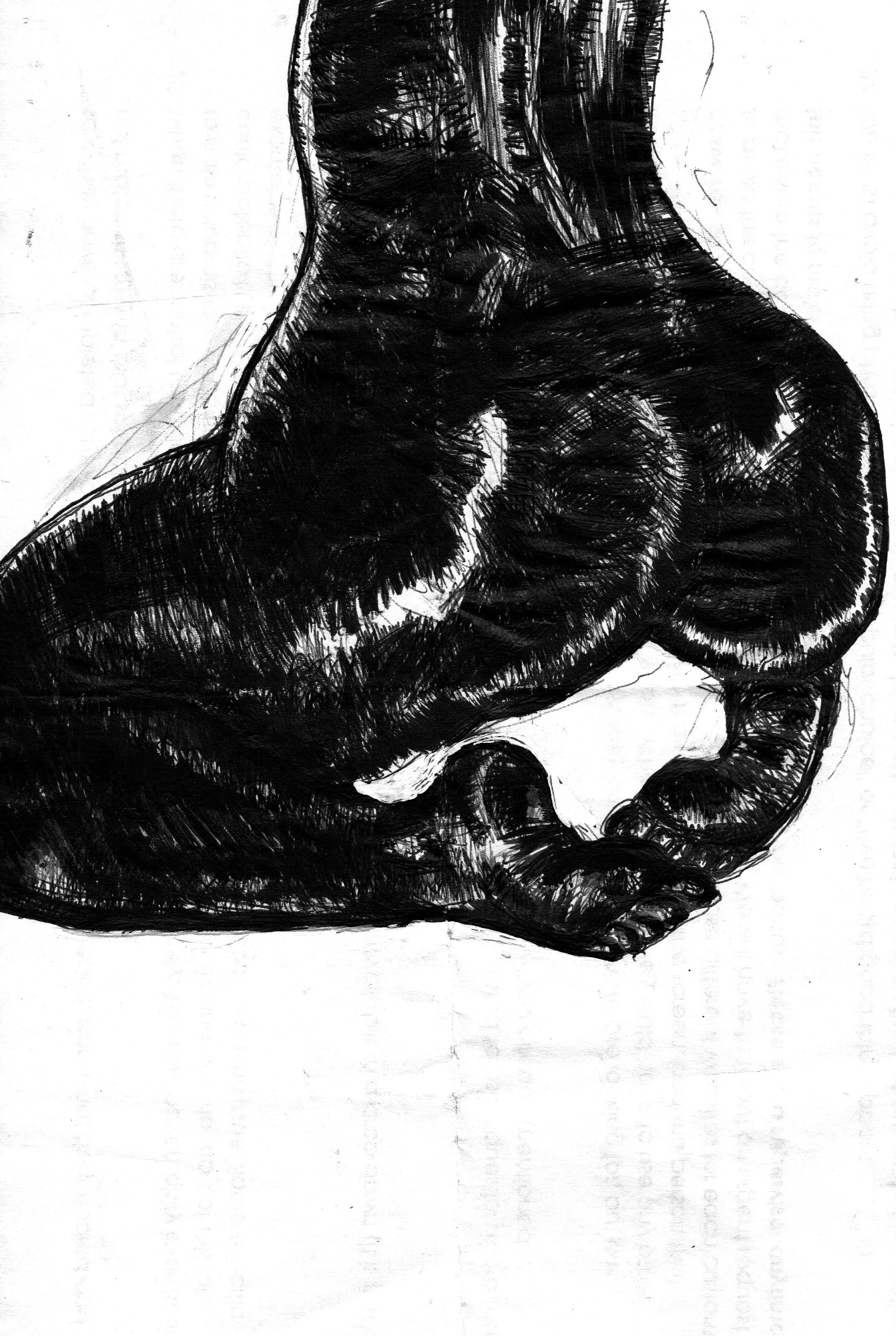 cropped_05232017_0001.jpg