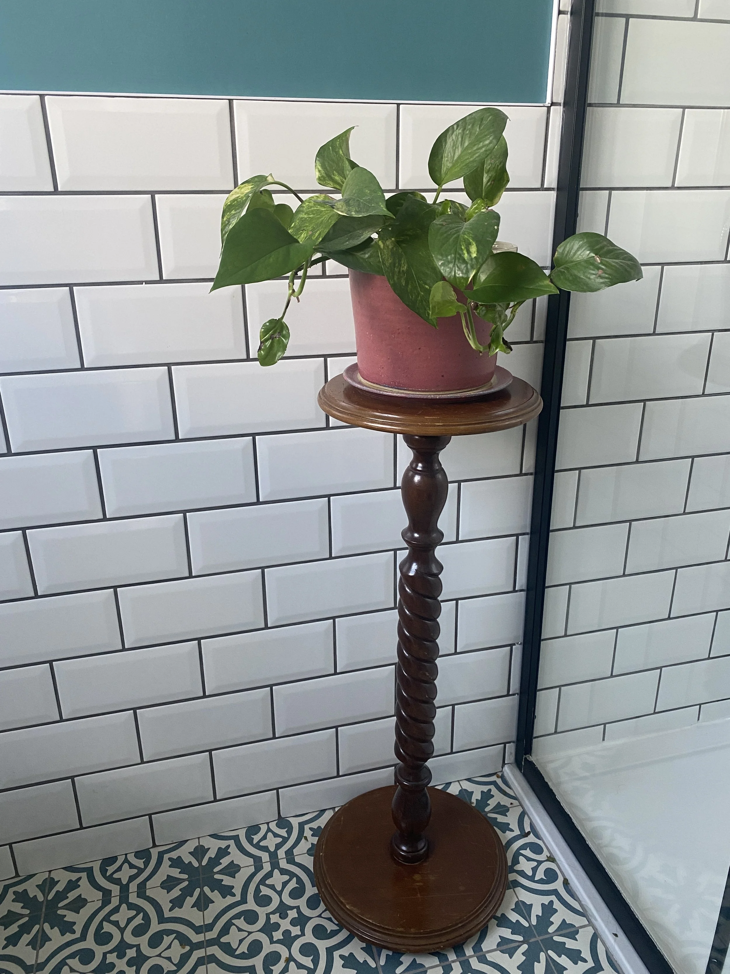 Large Planter & Plate